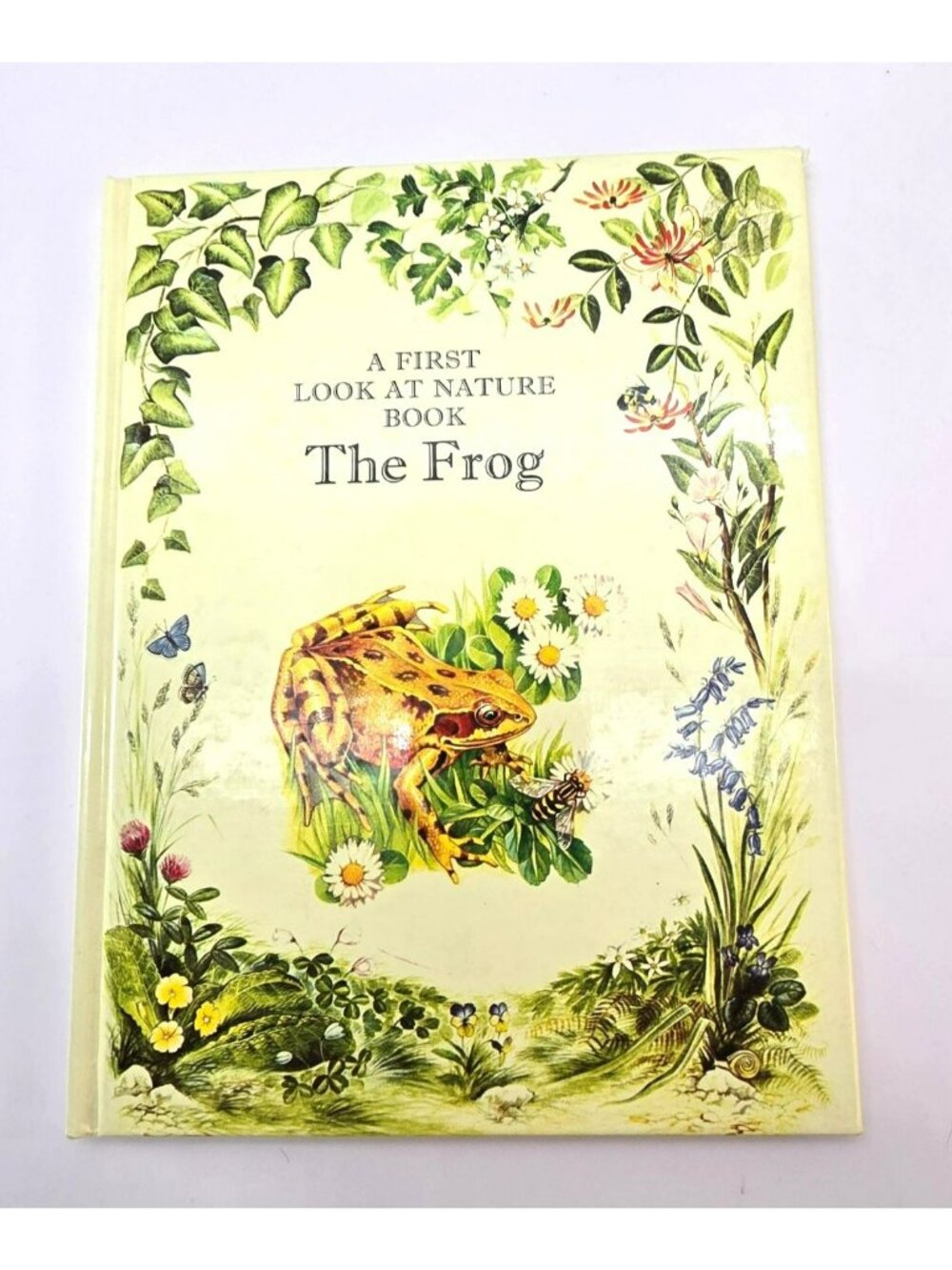 A First Look At Nature Book - The Frog By Angela Sheehan - 1976 cm17239